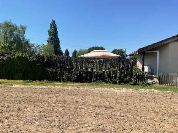 FW Alpen: Heckenbrand