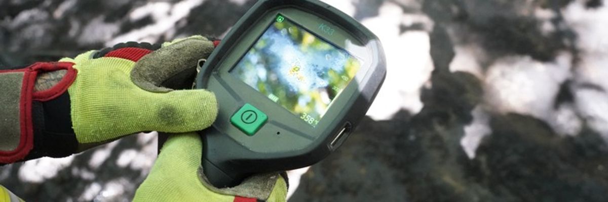 FW Dresden: Brand gelöscht - Nachlöscharbeiten beim Waldbrand waren erfolgreich