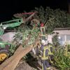 FFW Schiffdorf: Baum stürzt auf Haus - keine Person verletzt