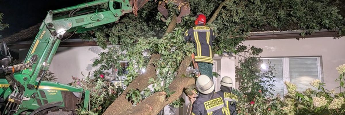 FFW Schiffdorf: Baum stürzt auf Haus - keine Person verletzt
