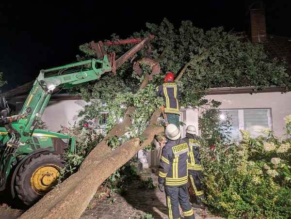 FFW Schiffdorf: Baum stürzt auf Haus - keine Person verletzt