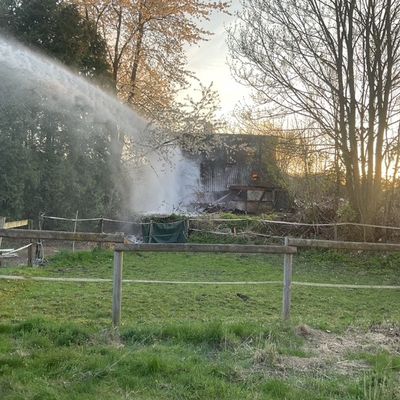 FW-DO: Brennende Hütte in Dortmund / Bövinghausen