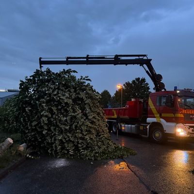 FW-OG: Unwetter über Offenburg - Straßen und Keller überflutet, Bäume entwurzelt und abgeknickt.