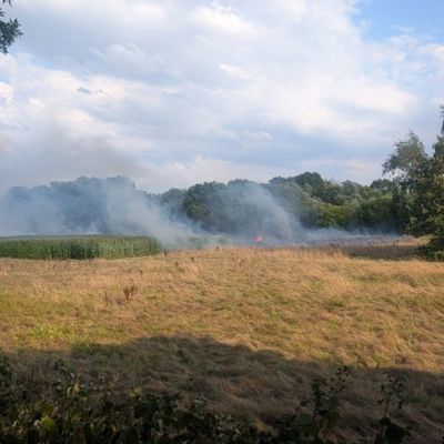 FW Bad Oeynhausen: Flächenbrand zwischen Werre Park und Werre