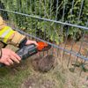 FW Alpen: Igel aus misslicher Lage befreit