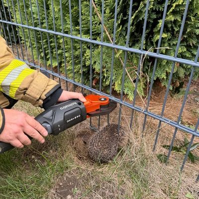 FW Alpen: Igel aus misslicher Lage befreit