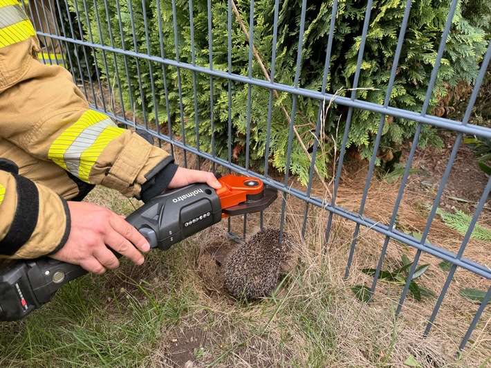 FW Alpen: Igel aus misslicher Lage befreit