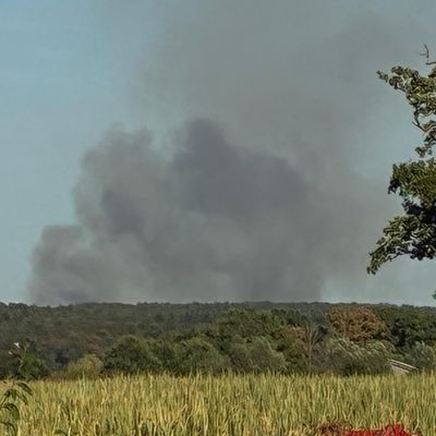 FW Sonsbeck: Waldbrand in Labbeck
