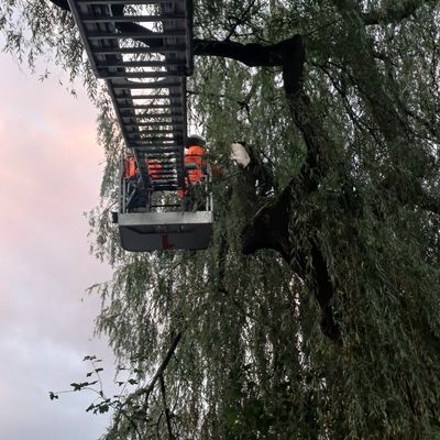 FW-EN: Wetter - Ast drohte auf Ruhrradwanderweg zu stürzen - Einsatzkräfte schützen auch Tierfamilie