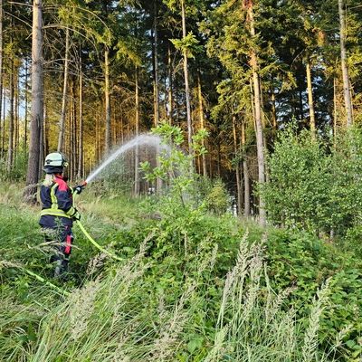 FW-AR: Interkommunale Waldbrandübung der Feuerwehren Ense und Arnsberg