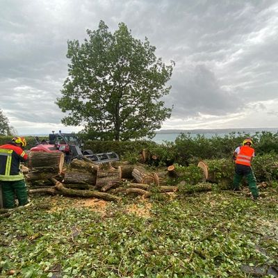 FW Überlingen: Heftiges Unwetter fordert Feuerwehr und führt zu 72 Einsätzen innerhalb kurzer Zeit / umgestürzte Bäume / vollgelaufene Keller / blockierte Fahrbahnen / abgedeckte Häuser
