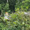 FW-EN: Wetter - Ölflecken, Heimrauchmelder, Brandmeldealarm und Gefahrenbaum