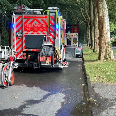 FW Paderborn: Drei Einsätze in kurzer Zeit am gestrigen Nachmittag