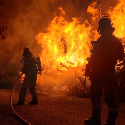 FW-E: Großer Holzstapel geht in Flammen auf - Feuerwehr verhindert Ausbreitung auf angrenzenden Wald