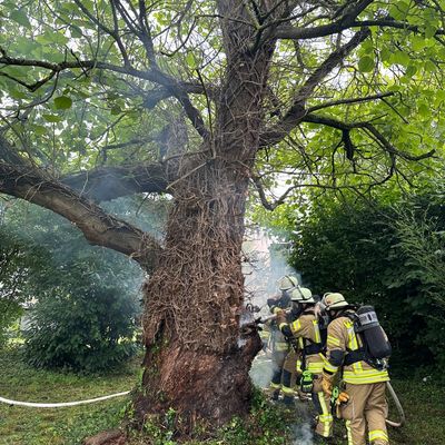 FW Weinheim: Baumbrand im Kastanienweg erfordert aufwendigen Löscheinsatz