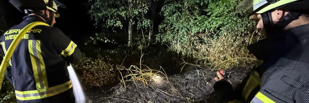 FW-WRN: Böschungsbrand in Werne-Holthausen