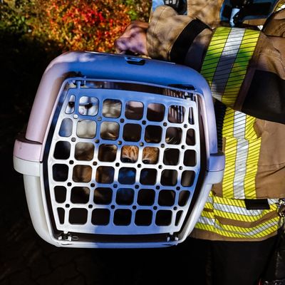 FW-DT: Zimmerbrand - 18 Personen rettungsdienstlich betreut