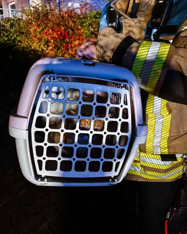 FW-DT: Zimmerbrand - 18 Personen rettungsdienstlich betreut