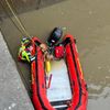 FW Bremerhaven: Feuerwehrtauchergruppe rettet Vierbeiner aus der Geeste