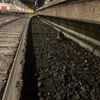 FW-DO: Fuchs verläuft sich in U-Bahn Haltestelle