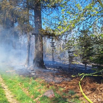 FW-Velbert: Waldbrand in Velbert-Neviges