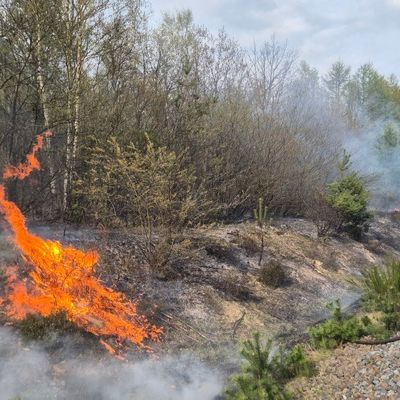 FW Südheide: Böschungsbrand an der Bahnstrecke zwischen Unterlüß und Suderburg