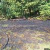FW-ROW: Sieben Feuerwehren löschen Flächenbrand bei Horstedt
