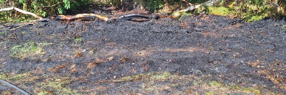 FW-ROW: Sieben Feuerwehren löschen Flächenbrand bei Horstedt