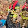 FW Stuttgart: Tierrettung durch die Wasserrettungseinheit - Strömungsretter der Feuerwehr im Einsatz - Kauz gerettet und dem Tiernotdienst übergeben