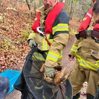 FW Stuttgart: Tierrettung durch die Wasserrettungseinheit - Strömungsretter der Feuerwehr im Einsatz - Kauz gerettet und dem Tiernotdienst übergeben