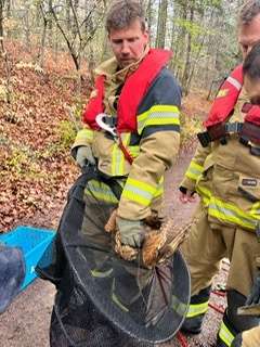 FW Stuttgart: Tierrettung durch die Wasserrettungseinheit - Strömungsretter der Feuerwehr im Einsatz - Kauz gerettet und dem Tiernotdienst übergeben