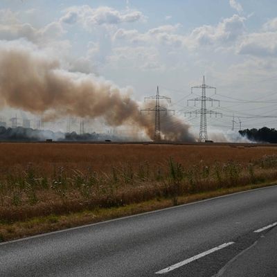 FW Pulheim: Feldbrand bedrohte Gehölzflächen
