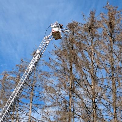FW Stockach: Tierrettung