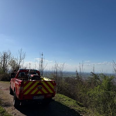 FW Weinheim: Vom Waldweg abgekommen und abgerutscht - Weinheimer Feuerwehr rettet zwei Spaziergänger oberhalb des Funkturms Nächstenbach