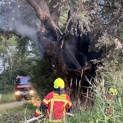 FW Reichenau: Brennender Baum konnte gelöscht werden, 20.06.2024, Reichenau-Mittelzell