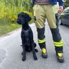 FW Lüchow-Dannenberg: +++ vermisste Seniorin löst Großeinsatz aus +++ Polizei, Feuerwehr und Rettungshunde im Einsatz +++ 83jährige nach stundenlangem Einsatz aufgefunden +++