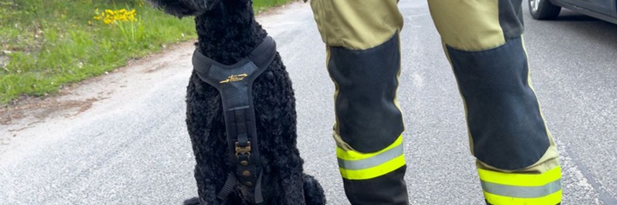 FW Lüchow-Dannenberg: +++ vermisste Seniorin löst Großeinsatz aus +++ Polizei, Feuerwehr und Rettungshunde im Einsatz +++ 83jährige nach stundenlangem Einsatz aufgefunden +++