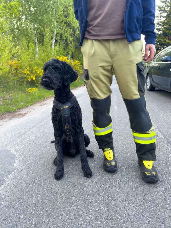 FW Lüchow-Dannenberg: +++ vermisste Seniorin löst Großeinsatz aus +++ Polizei, Feuerwehr und Rettungshunde im Einsatz +++ 83jährige nach stundenlangem Einsatz aufgefunden +++