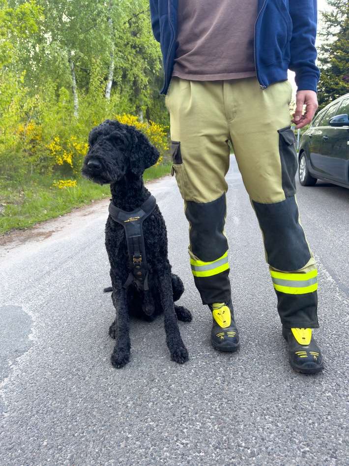 FW Lüchow-Dannenberg: +++ vermisste Seniorin löst Großeinsatz aus +++ Polizei, Feuerwehr und Rettungshunde im Einsatz +++ 83jährige nach stundenlangem Einsatz aufgefunden +++