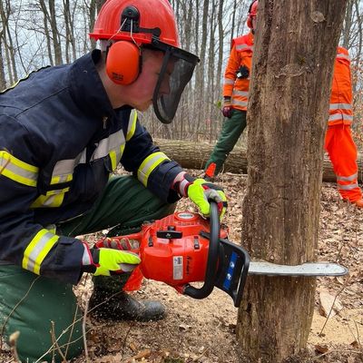 FFW Bergen: Kettensägenausbildung Modul A der Stadtfeuerwehr Bergen