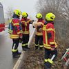 FW Reichenau: Schwan vom Bahndamm gerettet, Reichenau-Lindenbühl, 20.01.2026
