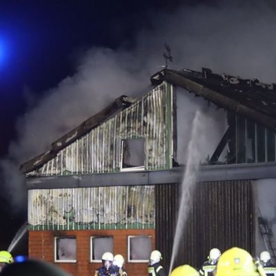 FW-SE: Feuer in Kuhstall - 72 Tiere gerettet