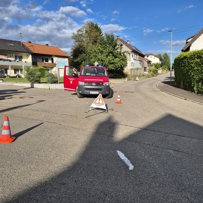 FW Stockach: Kleineinsatz ohne Eile