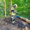 FW Hünxe: Brennender Baum im Waldstück