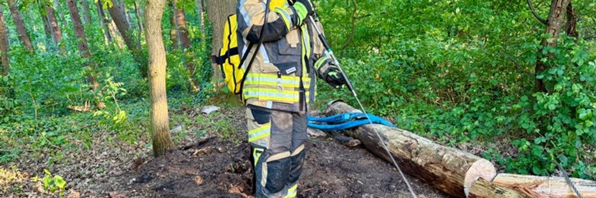 FW Hünxe: Brennender Baum im Waldstück