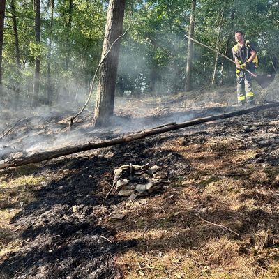 FW Nideggen: Waldbrand im Nationalpark bei Schmidt