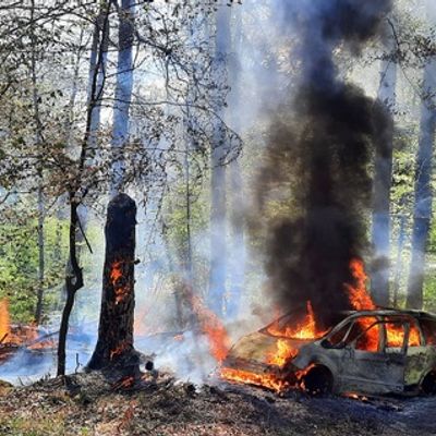 FW Konstanz: PKW Brand mit Brandausbreitung im Wald