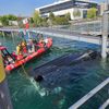 FW Konstanz: Wasserrettung