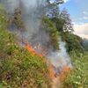 FW Rösrath: Waldbrand am Lüderich