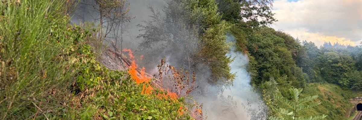 FW Rösrath: Waldbrand am Lüderich